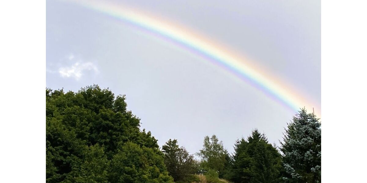 Provisionsfrei* Kleines Hotel im Thüringer Wald sucht neuen Eigentümer - Gewerbeobjekt Suhl Schmiedefeld am Rennsteig | Angebot:25642404
