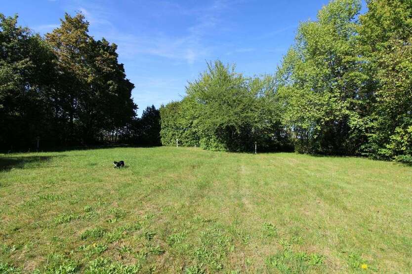 Grundstück zu verkaufen in Hilpoltstein 248.000 € 721 m² zimmer