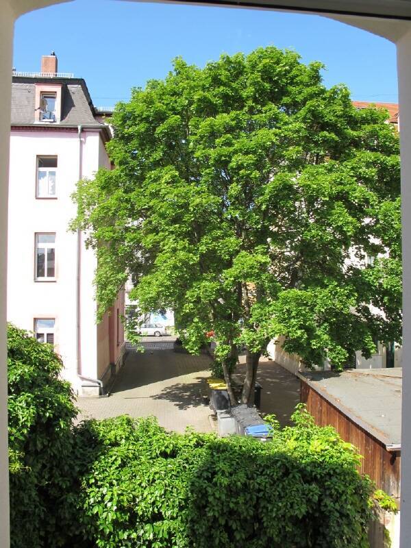 Helle Räume im Hinterhaus mit Einbauküche