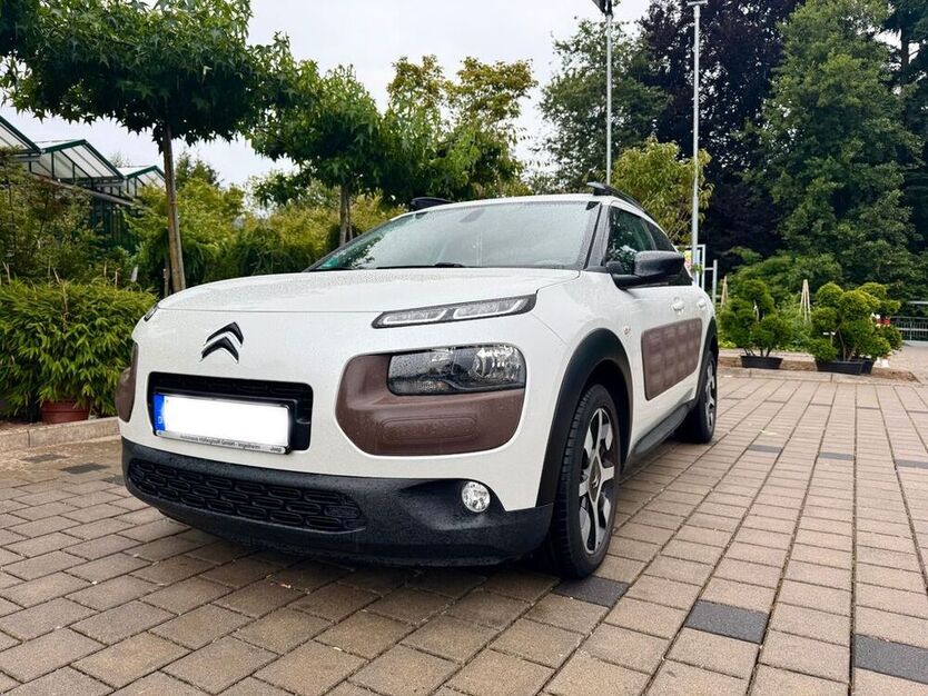 C4 Cactus