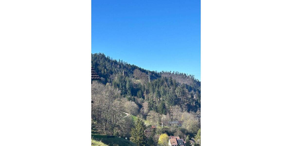 Mehrfamilienhaus, Wohnhaus Schramberg - 6 Zimmer, 136 m&sup2;, 149.000&euro; | Angebot:26377834