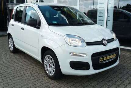 Fiat Panda 55.000 km 8.495 € Heide 25746
