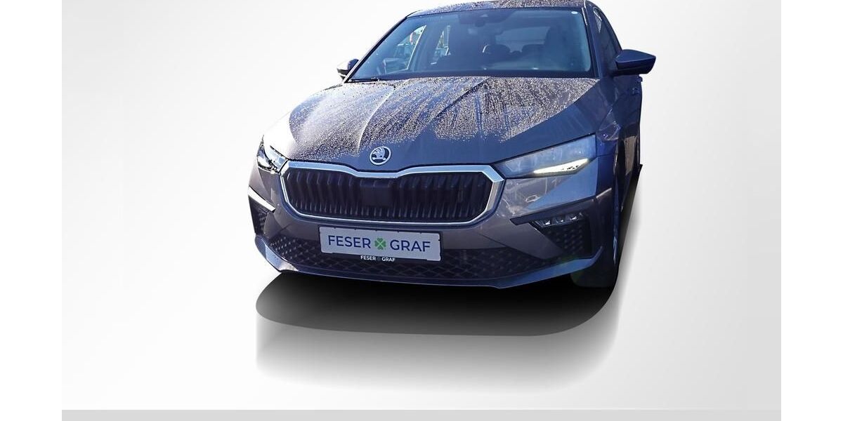 Skoda Scala 26.150 km 19.740 &euro; Erlangen 91058