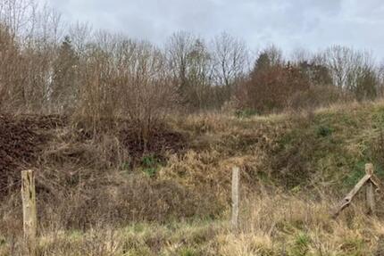 Grundstück Diepholz - 7.450&euro; | Angebot:17597996