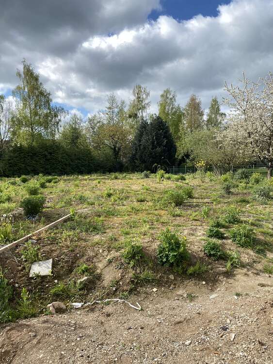 Grundstück zu verkaufen in Herford 389.000 € 1631 m²