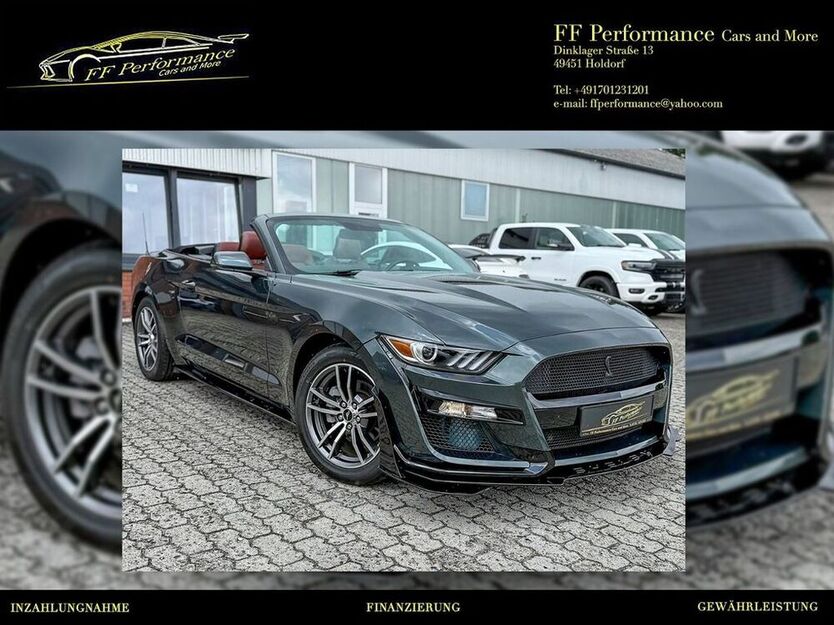 Mustang