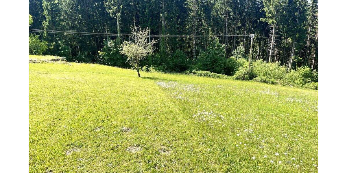 Grundstück Bernried Bremersbach - 560.000&euro; | Angebot:26658435