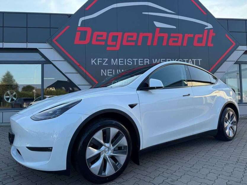 Model Y