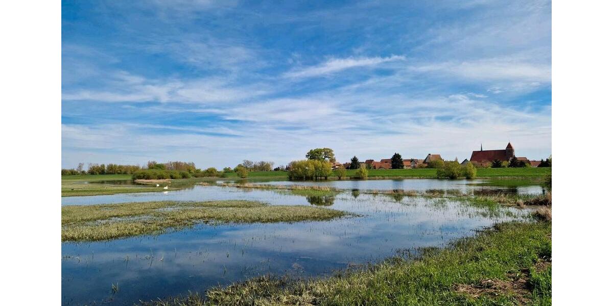 Einfamilienhaus Seehausen (Altmark) - 4 Zimmer, 100 m&sup2;, 26.000&euro; | Angebot:26986699