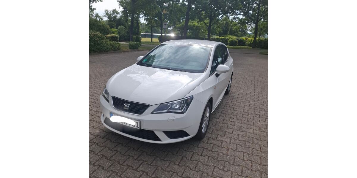 Seat Ibiza 80.040 km 8.100 &euro; Forst 76694