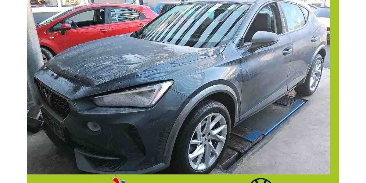 Cupra Formentor 46.895 km 26.670 &euro; Mainburg 84048