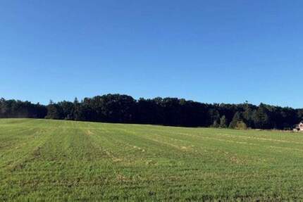 Grundstück Bispingen Neu Borstel - 158.415&euro; | Angebot:25252880