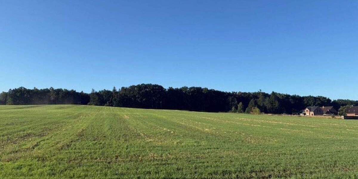 Grundstück Bispingen Neu Borstel - 158.415&euro; | Angebot:25252880