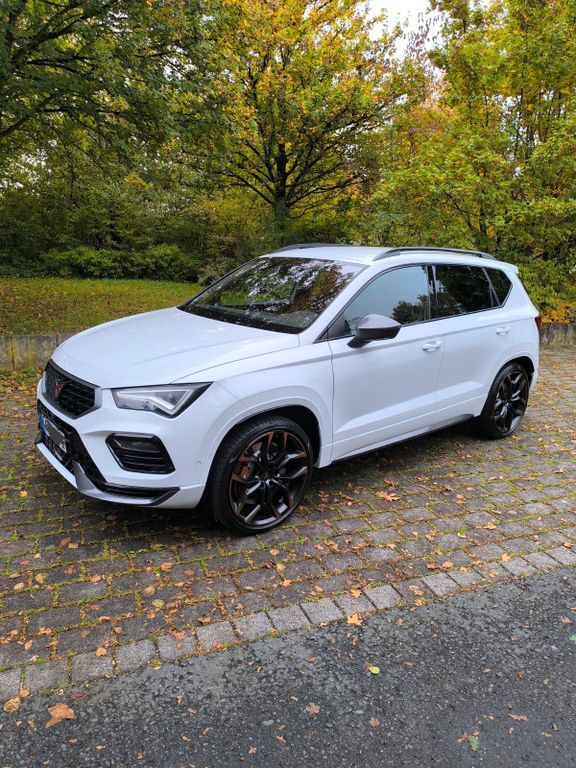 Cupra Ateca 59.430 km 32.490 € Aschaffenburg 63739
