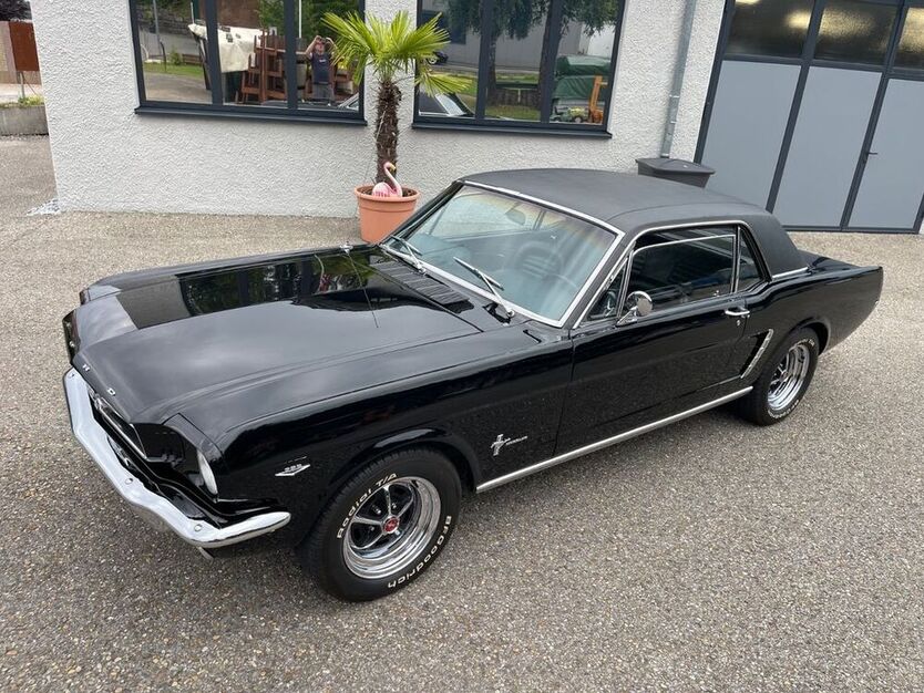 Mustang