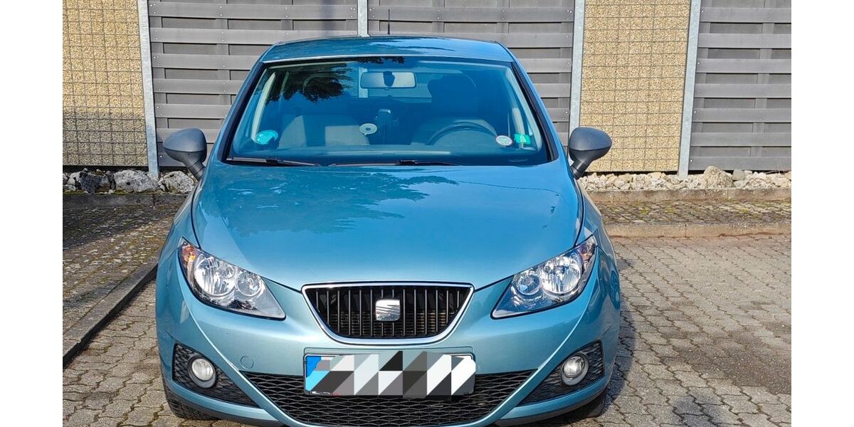 Seat Ibiza 128.300 km 3.000 &euro; Landau 76829