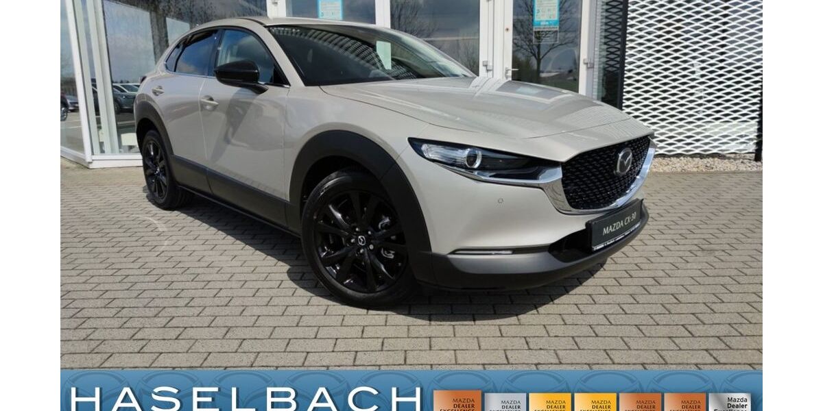 Mazda CX-30 2.252 km 27.920 &euro; Delitzsch 04509