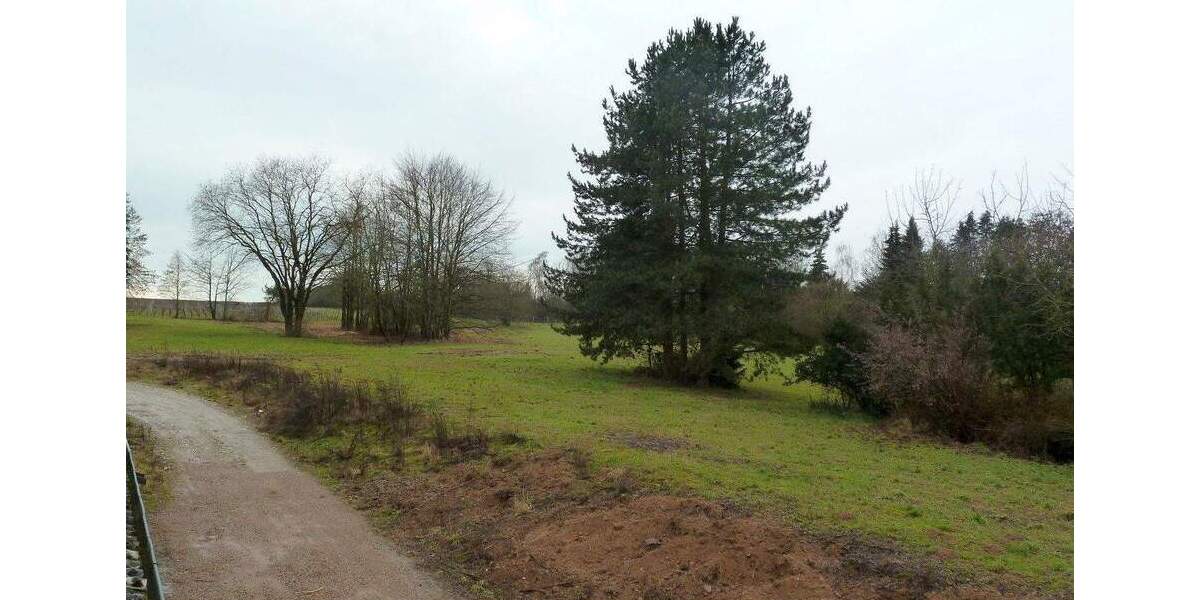 Perfektes Zusammenspiel – Wohnen und Arbeiten unter einem Dach 5 zimmer