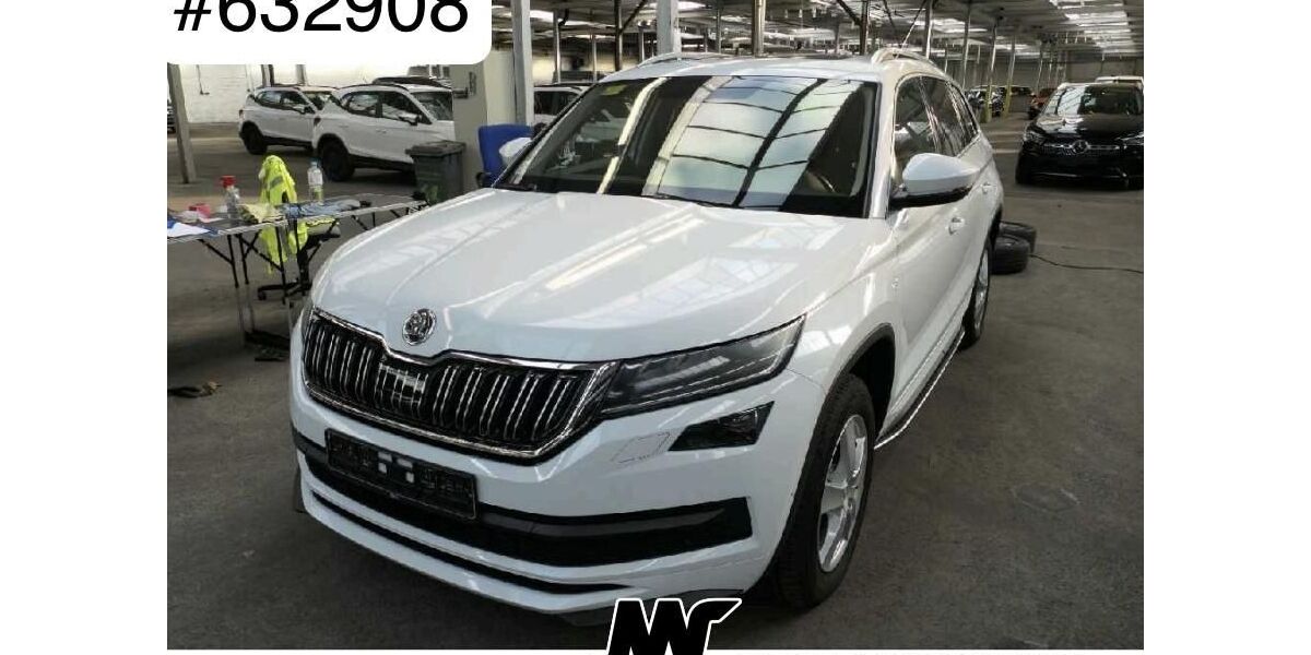 Skoda Kodiaq 150.000 km 24.990 &euro; Steinbach-Hallenberg OT Herges-Hallenberg 98587