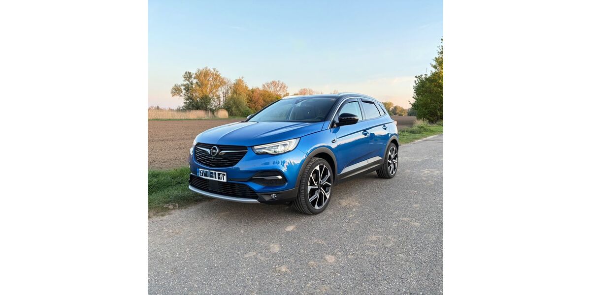 Opel Grandland (X) 58.000 km 19.390 &euro; Emmerich 46446
