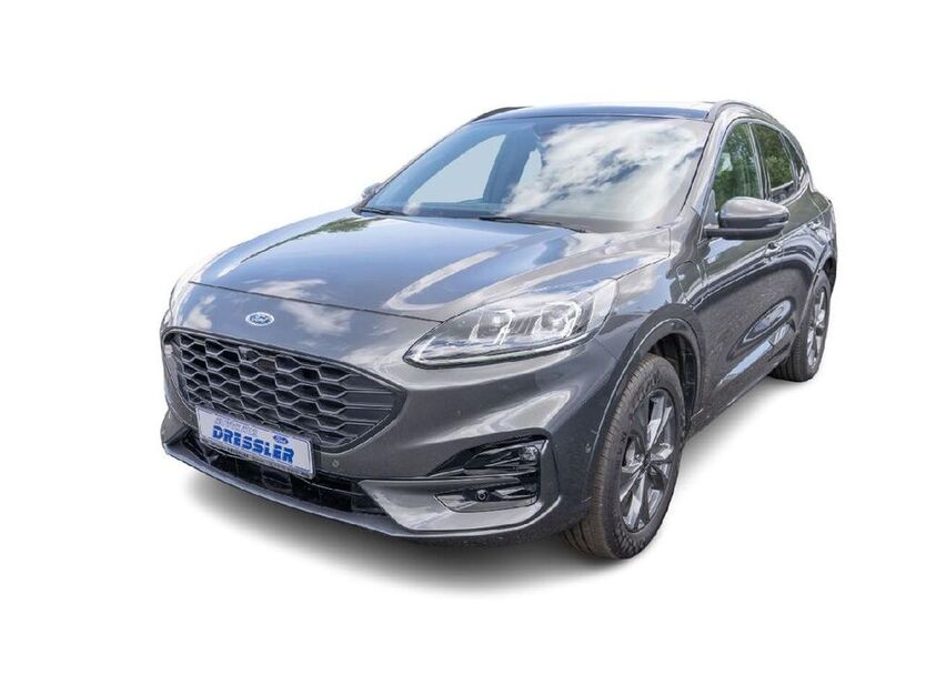 Kuga