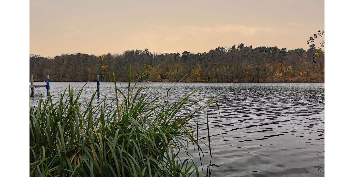 Kein Neubaugebiet. Kein Durchgangsverkehr. - Grundstück Grünheide (Mark) | Angebot:24619063
