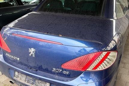 Peugeot 307 176.719 km 800 &euro; Remseck 71686