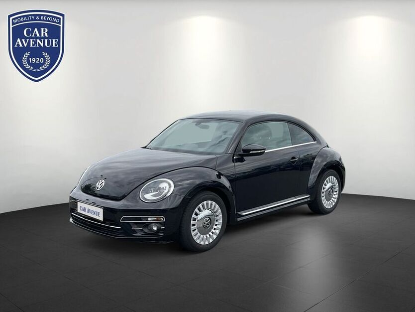 Beetle