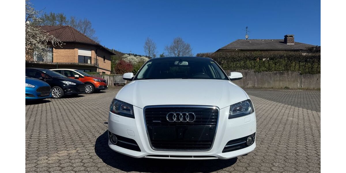 Audi A3 219.000 km 7.999 &euro; Schweich-Issel 54338