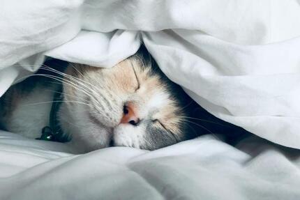 Haus Fröndenberg (Ruhr) - 4 Zimmer, 155 m&sup2;, 1.999&euro; | Angebot:24629816