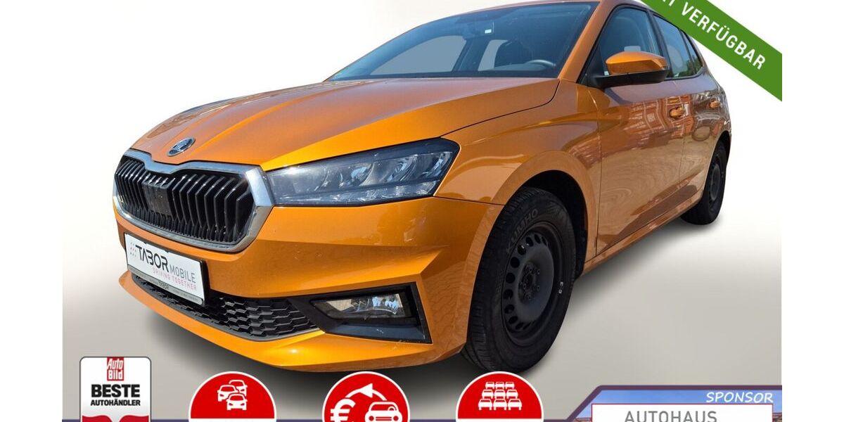 Skoda Fabia 53.550 km 13.988 &euro; Kehl 77694