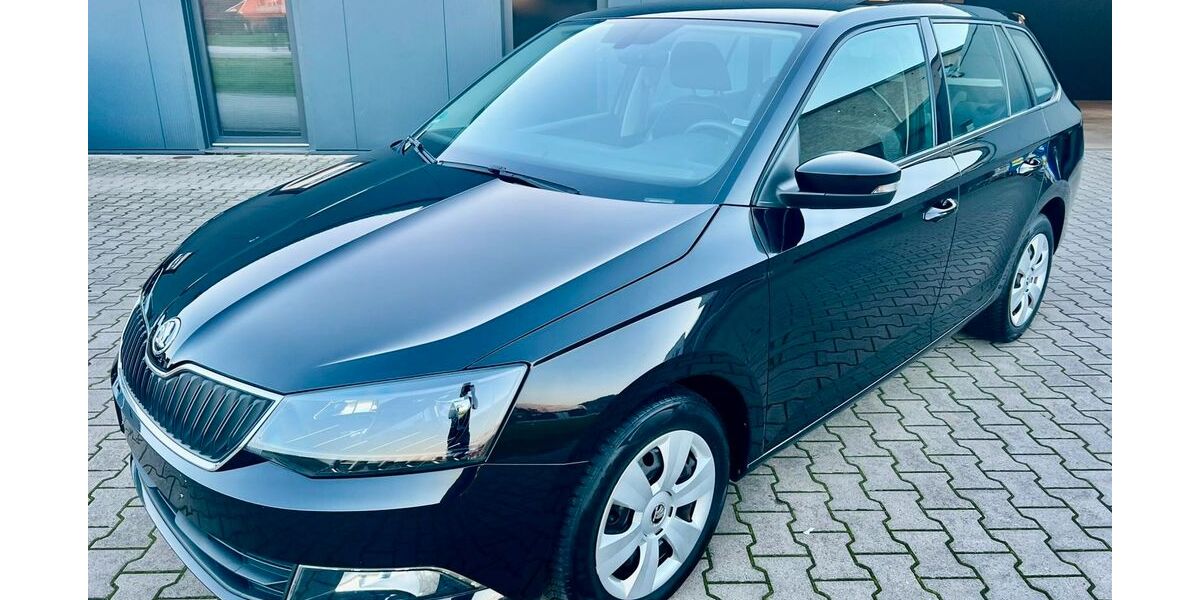 Skoda Fabia 118.996 km 8.299 &euro; Lengerich 49838