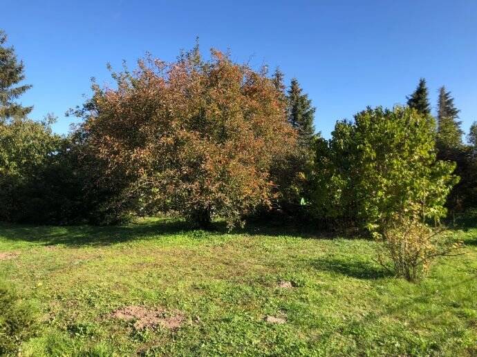 Grundstück Rüdersdorf bei Berlin Herzfelde - 309.900&euro; | Angebot:25701077