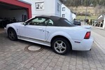 Mustang