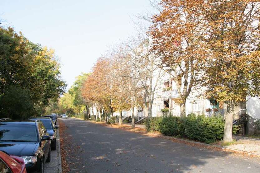 Haus zum Kaufen in Dessau-Roßlau 1.700.000 € 3811 m²