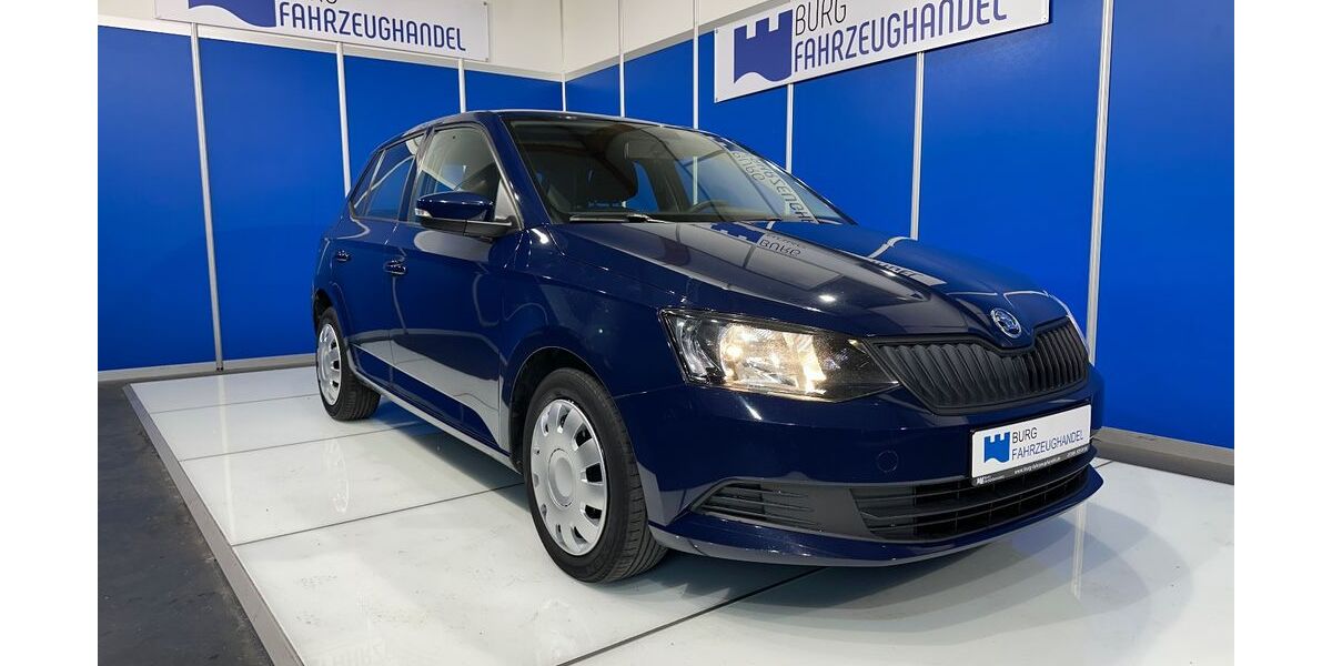 Skoda Fabia 100.000 km 7.990 € Straß 89278