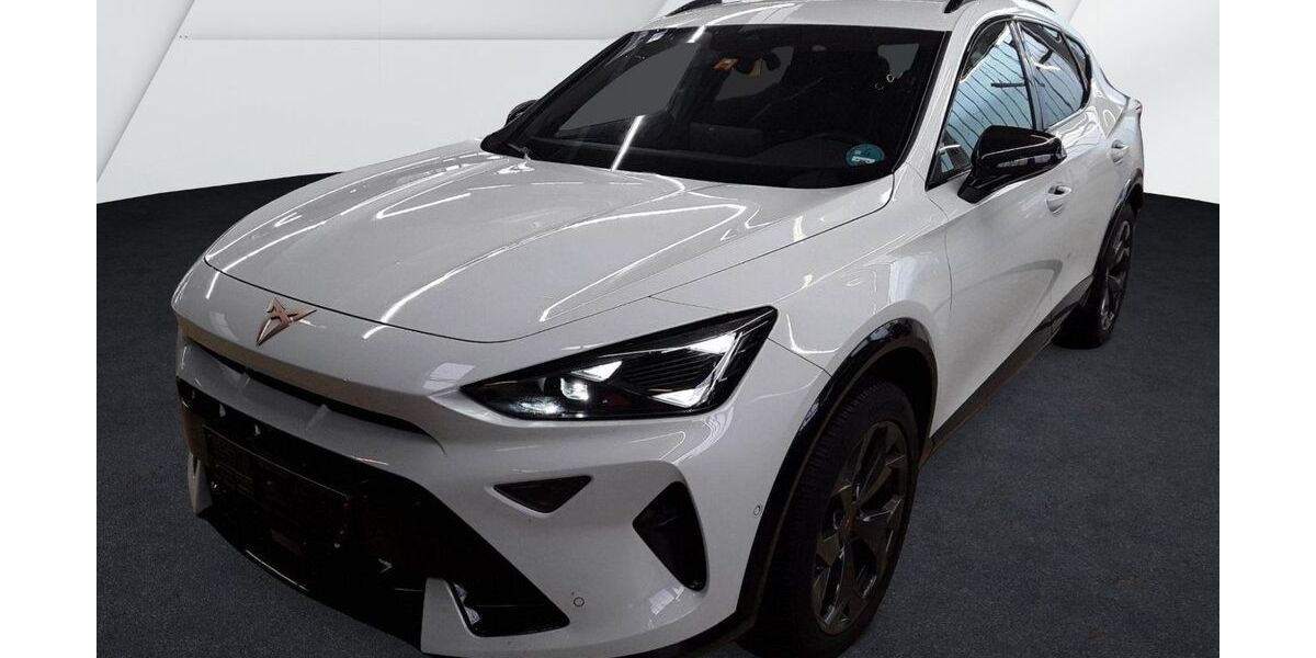 Cupra Formentor 26.200 km 31.980 &euro; Balingen 72336