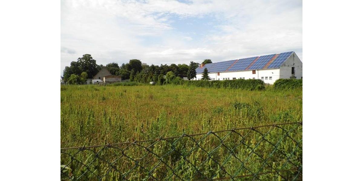 ObjNr:18340 - Großzügiges Baugrundstück in ruhiger Lage des schönen Ortes Ducherow 1 zimmer