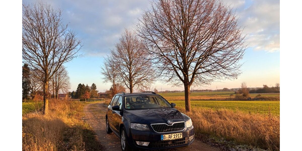 Skoda Octavia 161.000 km 9.800 &euro; Berlin 13591