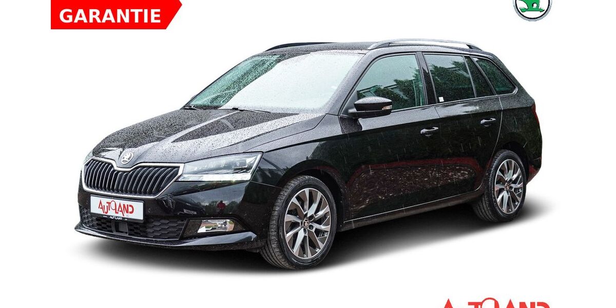 Skoda Fabia 45.592 km 19.950 &euro; Erfurt 99087