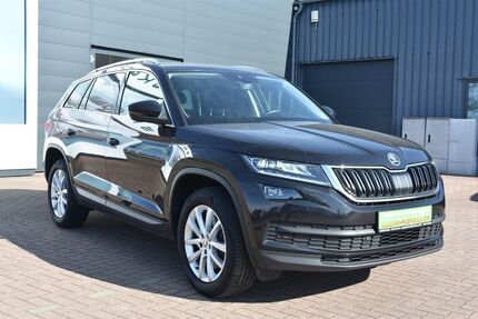 Skoda Kodiaq 199.250 km 19.900 &euro; Aschersleben 06449