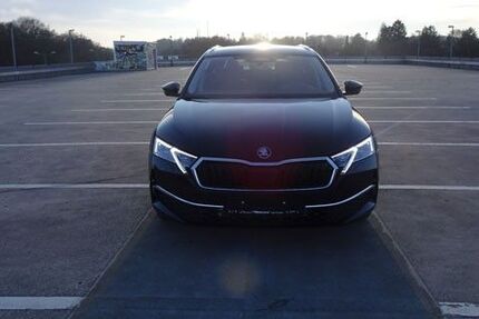 Skoda Octavia 2.500 km 44.900 &euro; München 80686