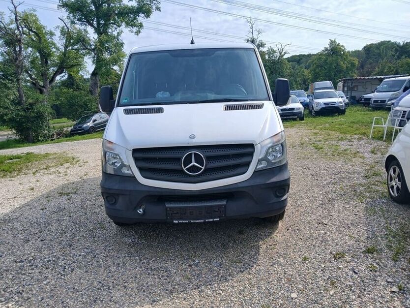 Sprinter