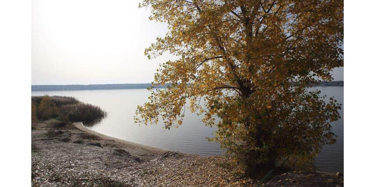 Etagenwohnung Borna - 4 Zimmer, 599.500&euro; | Angebot:21867330