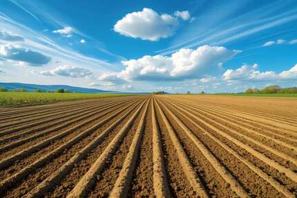 Gewerbeobjekt Buchholz in der Nordheide - 695.000&euro; | Angebot:25814183