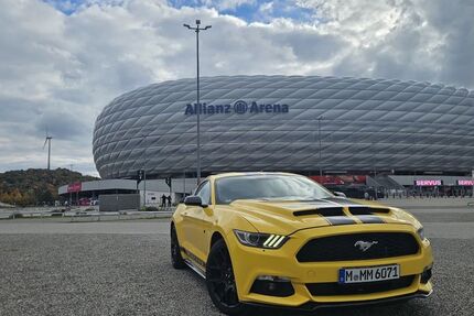 Ford Mustang 106.000 km 19.990 € München 80937