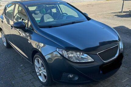 Seat Ibiza 257.500 km 2.499 &euro; Sinsheim 74889