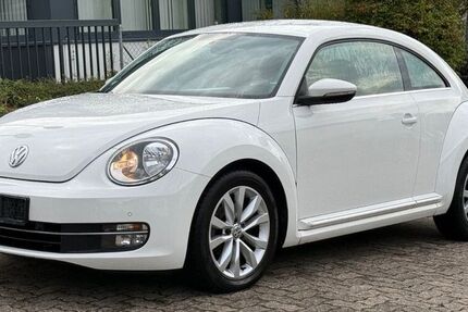 VW Beetle