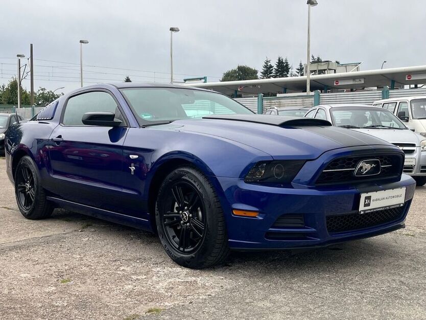 Mustang