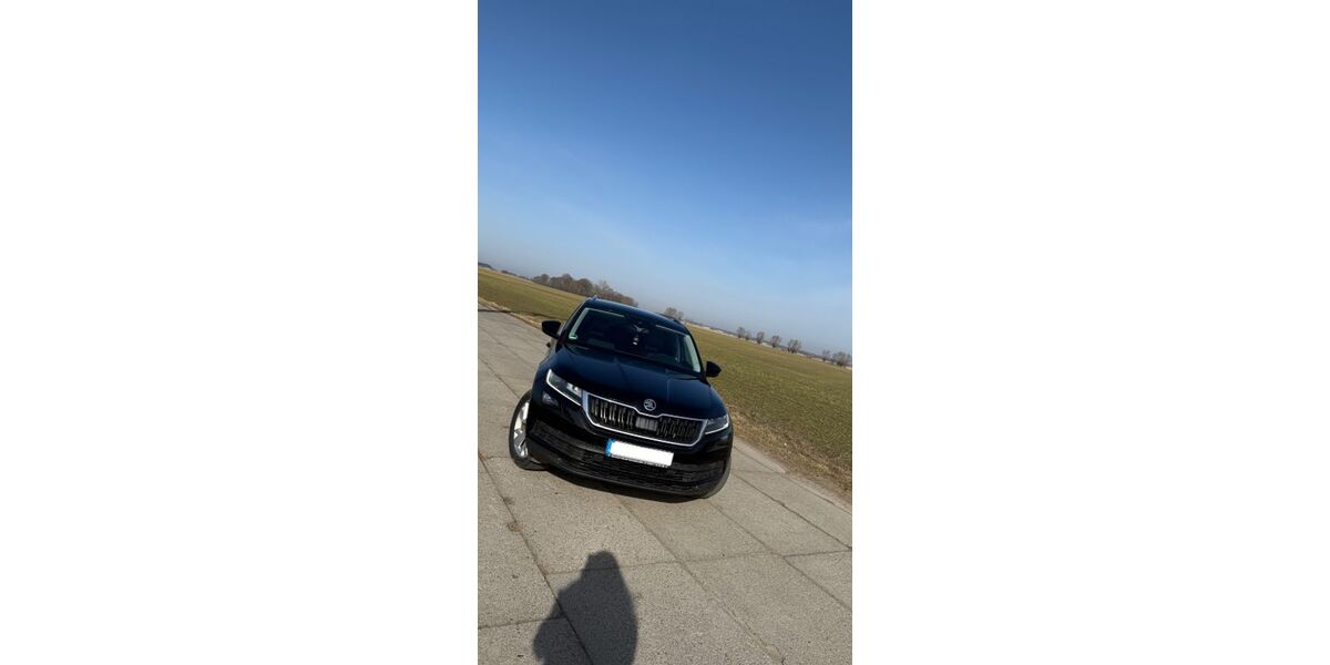 Skoda Kodiaq 190.000 km 16.000 &euro; Zemitz 17440
